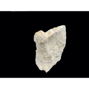 60_7_additional image.jpg image